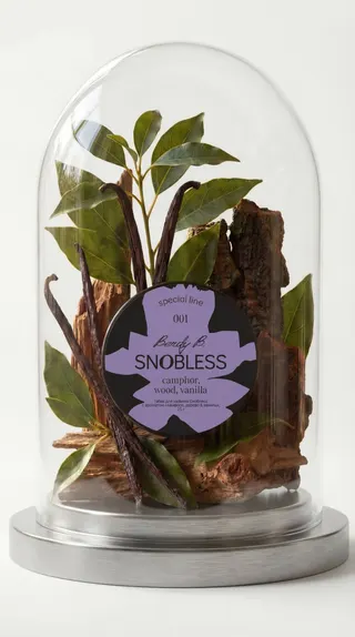 PROMO - Snobless - За заказ 6 шт х 25 гр = 2 блистера угля Cocos 12 шт по 1р