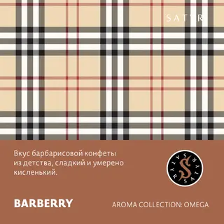 ВВ - Табак "Сатир" BARBERRY (БАРБЕРИ), 100 грамм